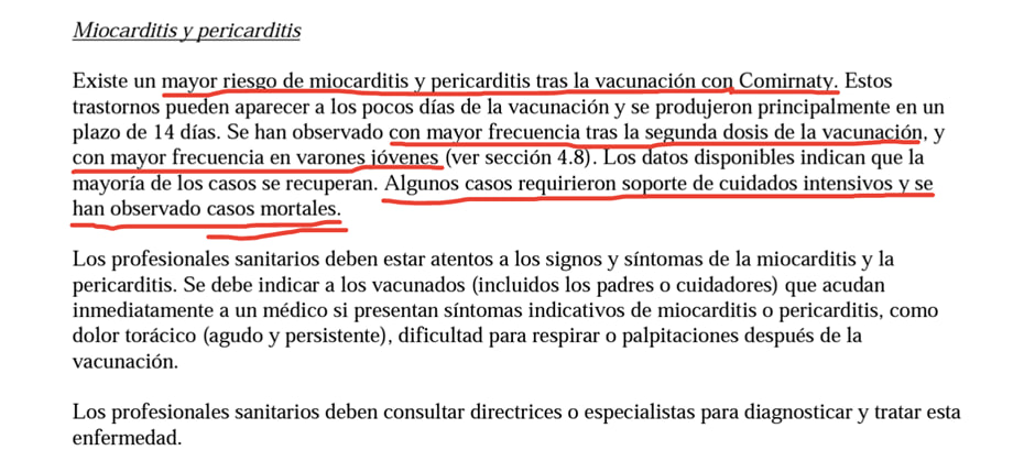 photo_2025-11-30_12-53-20